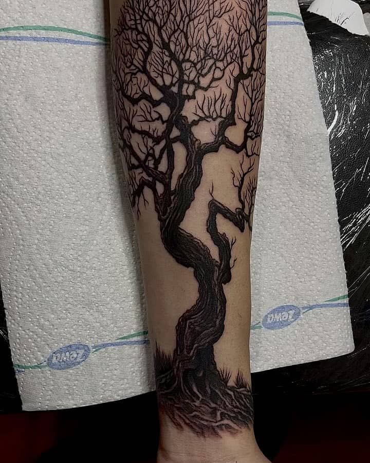 Gnarled Leafless Tree