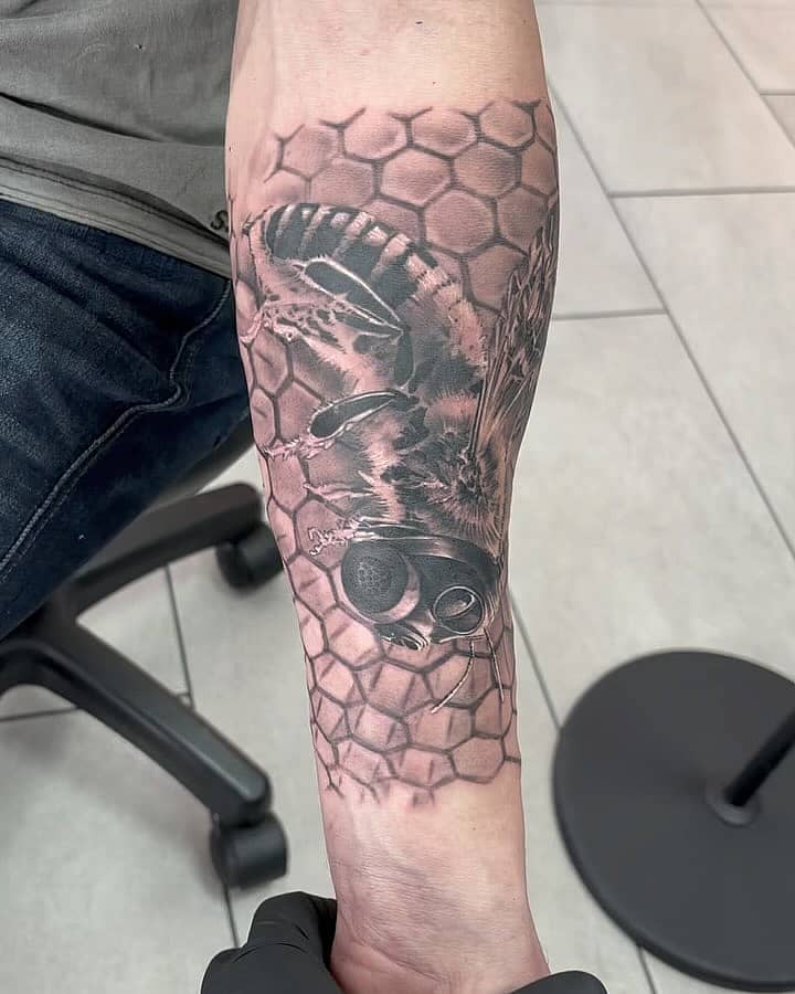 Goggled Honeybee and Honeycomb