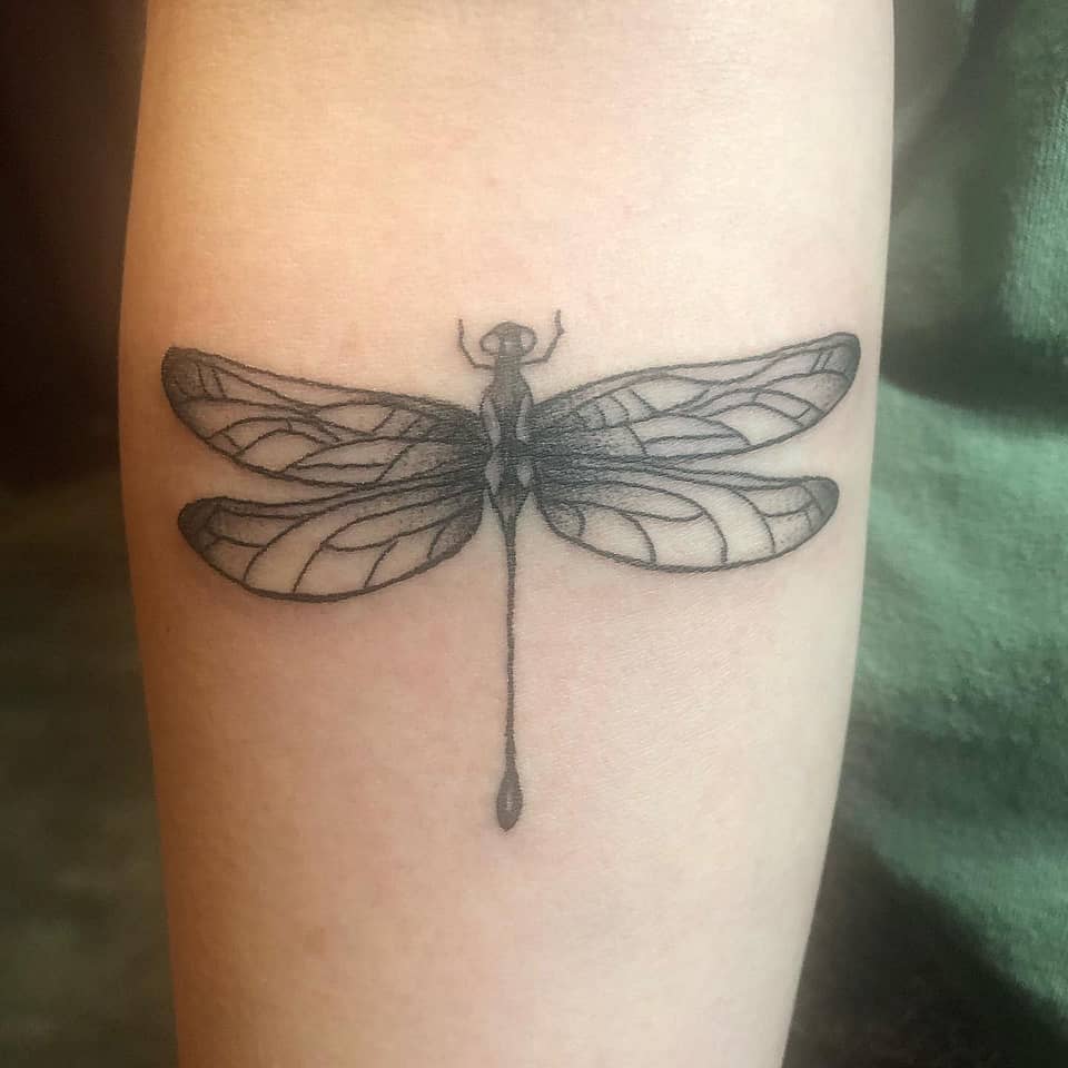 Gossamer Dragonfly
