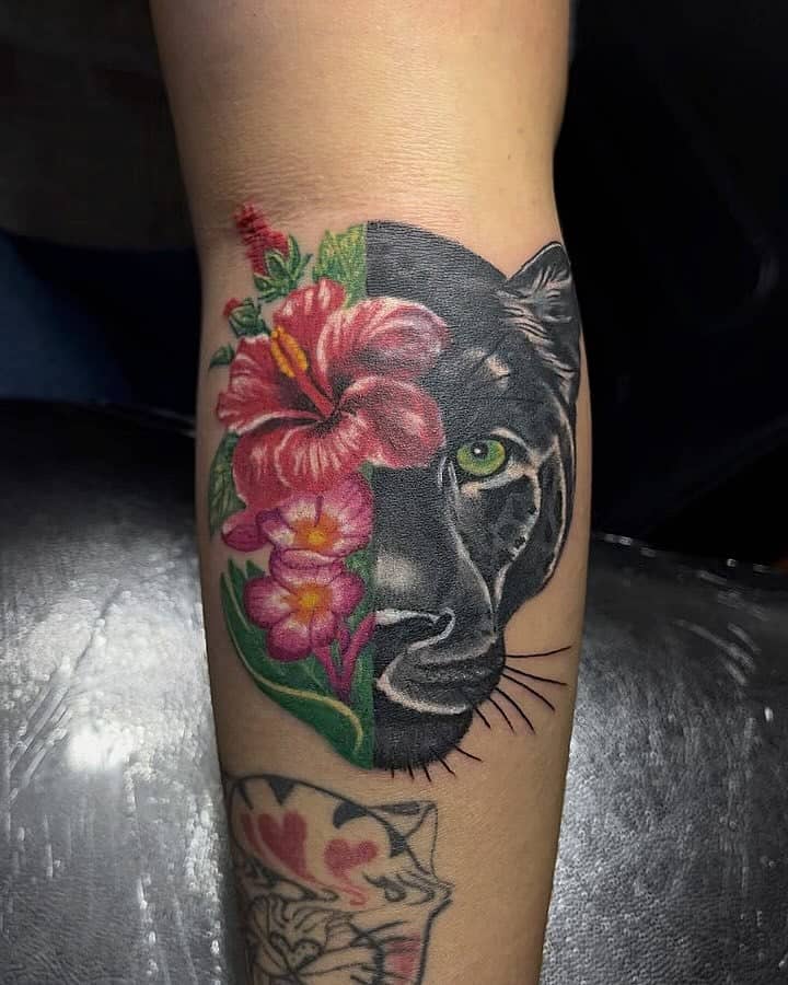 Hibiscus Panther Split