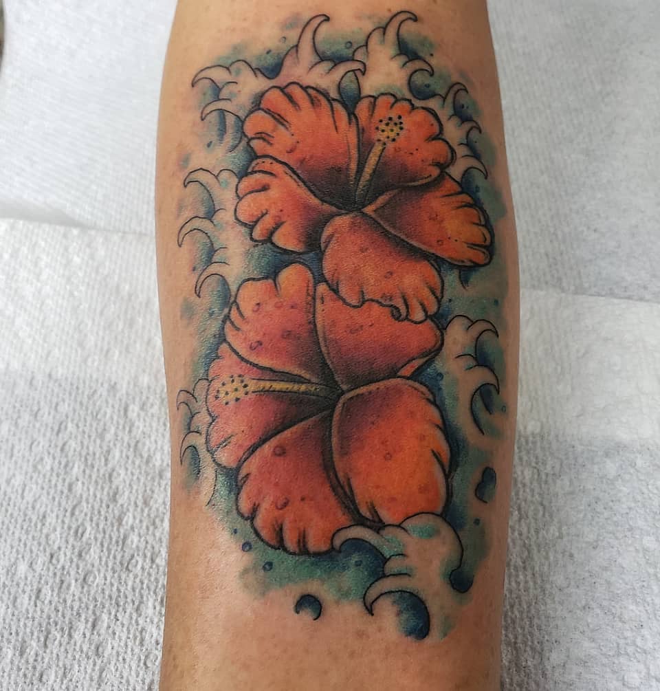 Hibiscus Surf Bloom