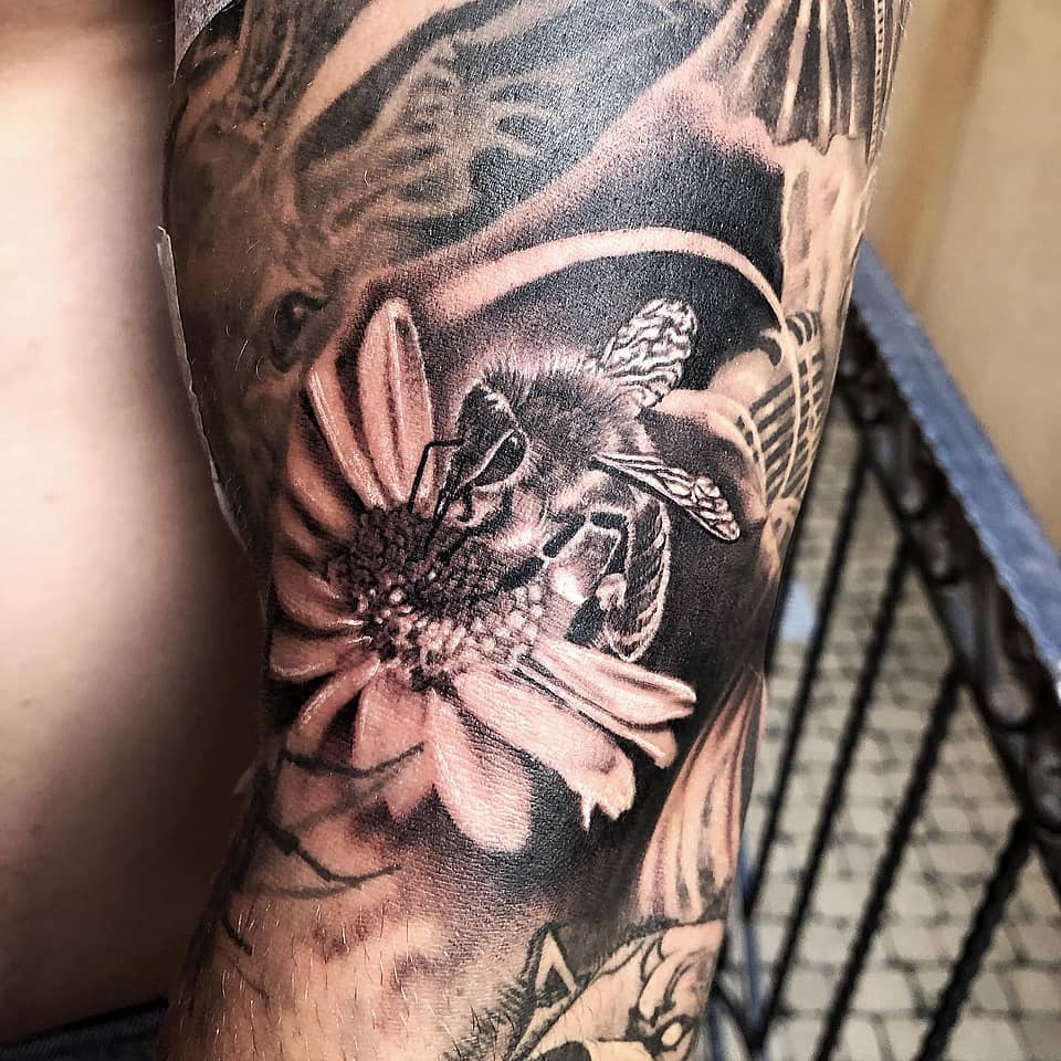 Honeybee on Daisy