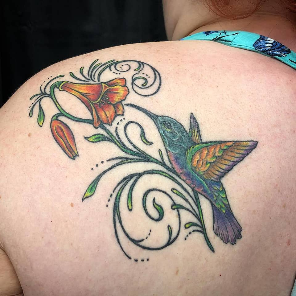 Hummingbird and Trumpet Bloom