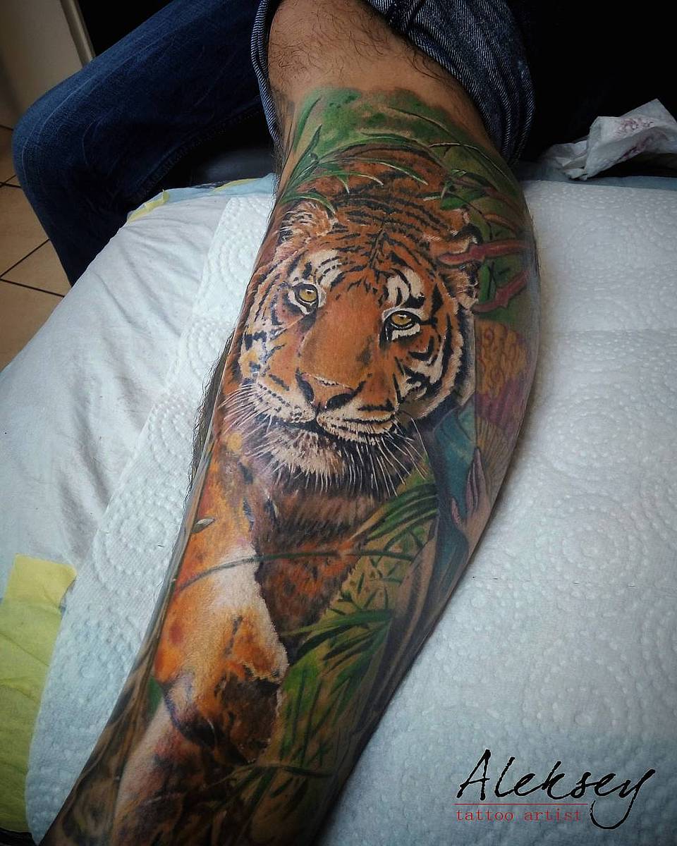 Jungle Gaze Tiger
