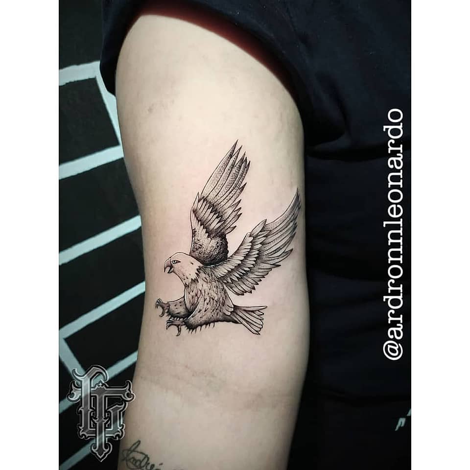 Landing Hawk