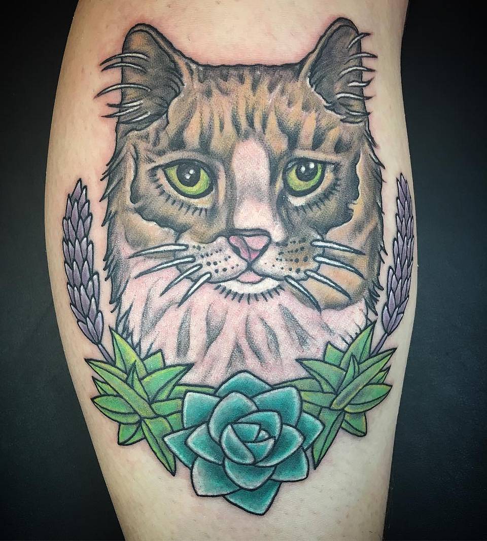 Lavender and Succulent Cat Portrait