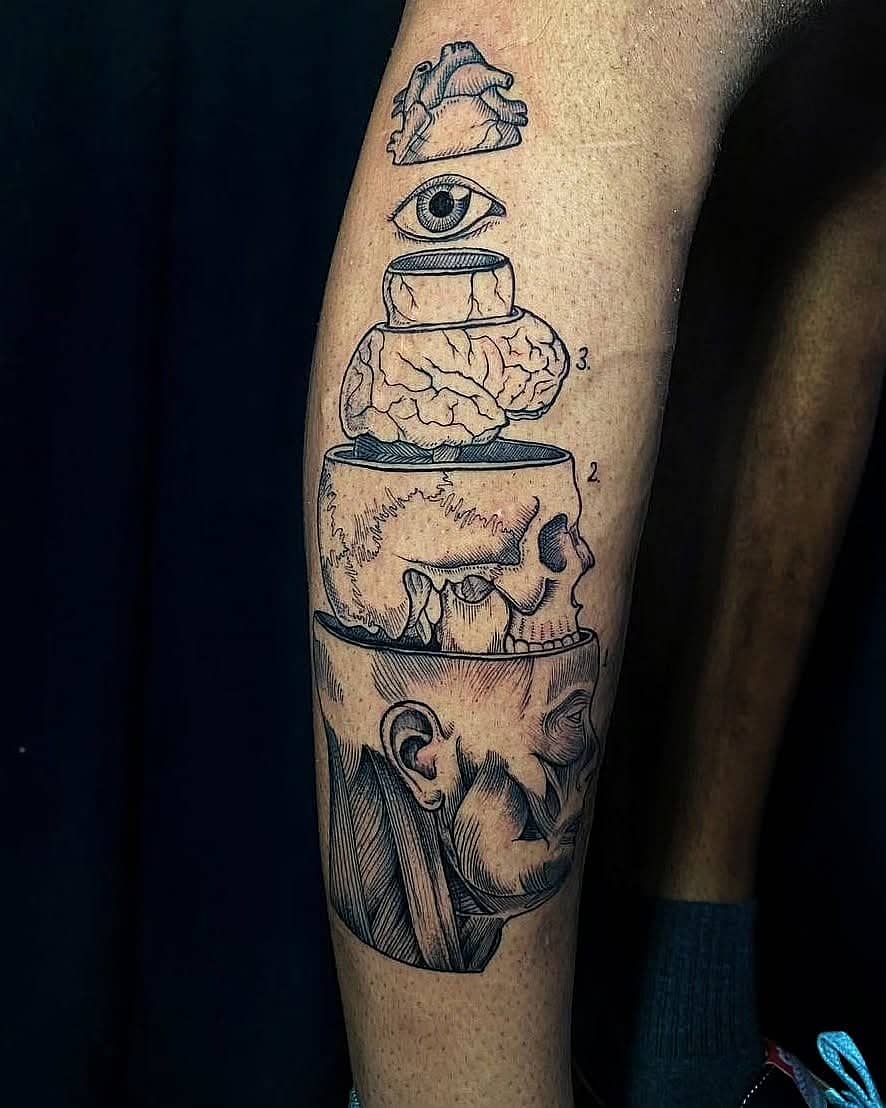 Layered Anatomy Stack