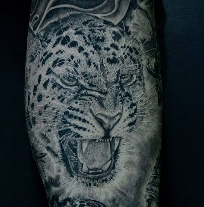 Leopard's Roar