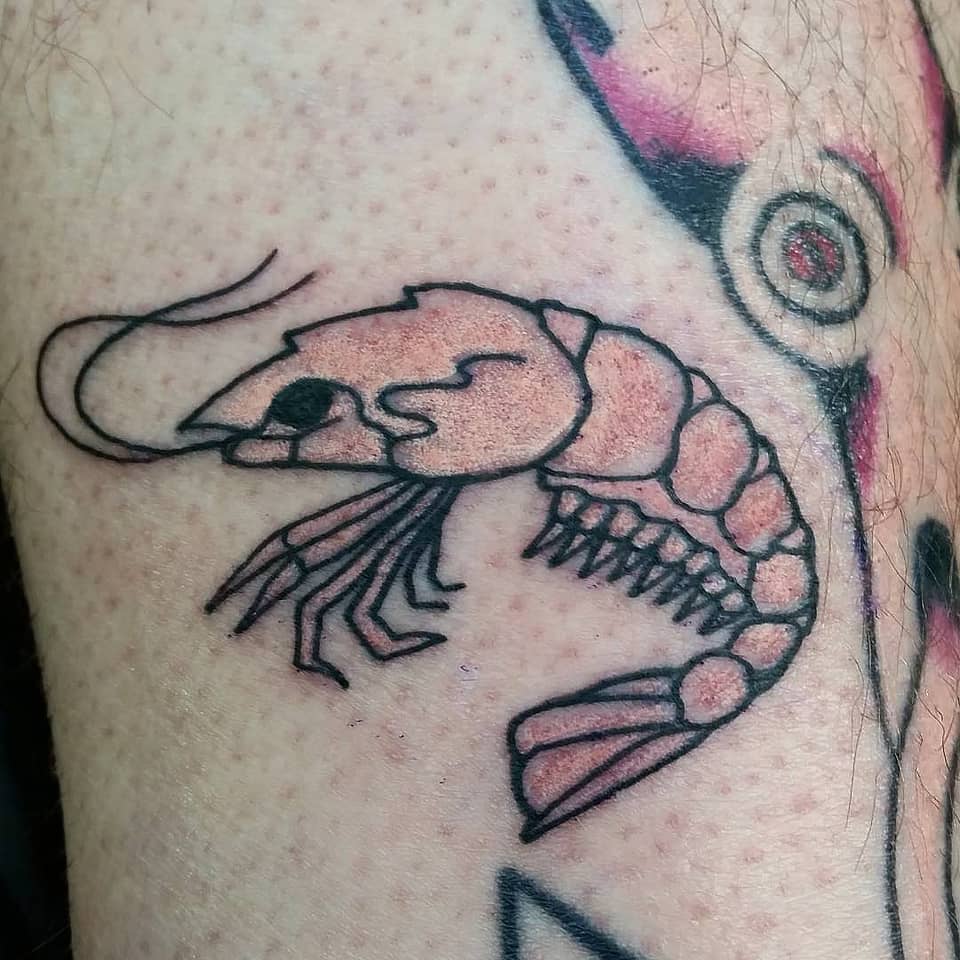 Linework Shrimp
