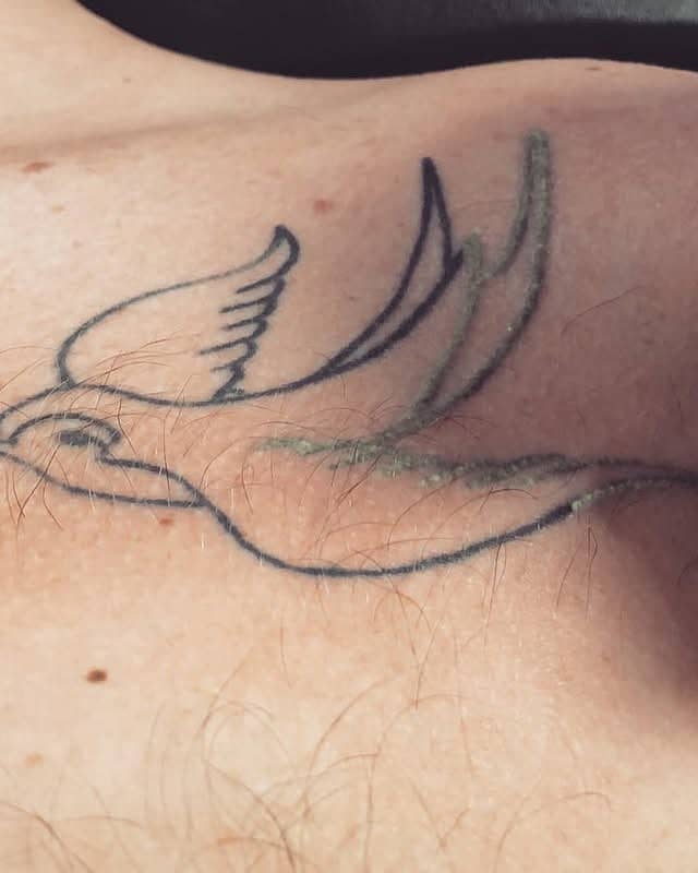 Linework Swallow in Flight