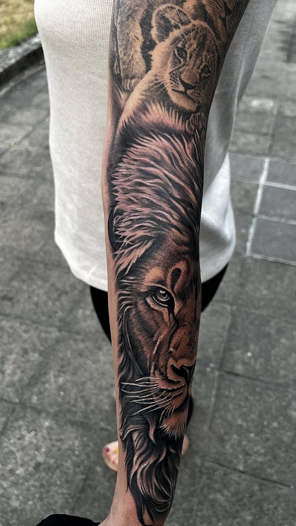 Lion and Cub Portrait
