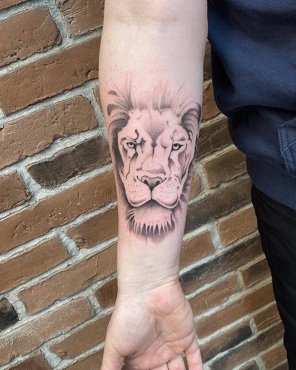 Lion Gaze