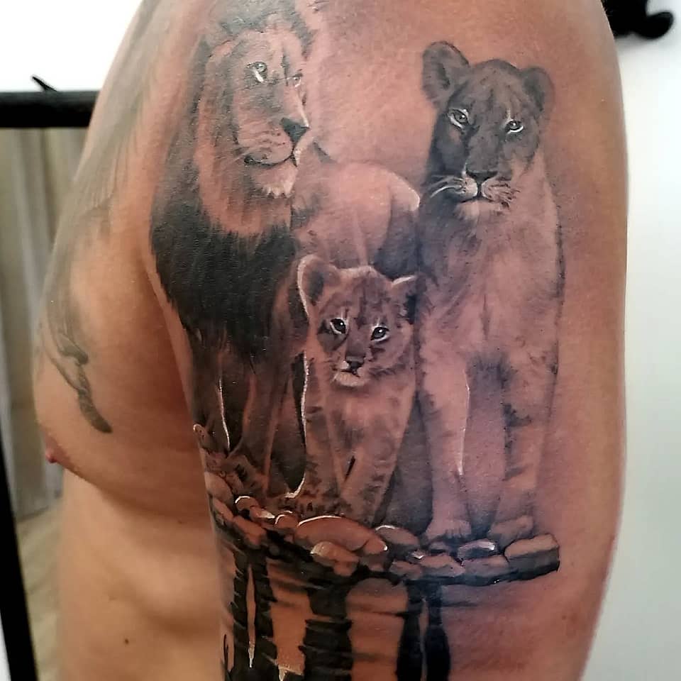 Lion Pride Portrait