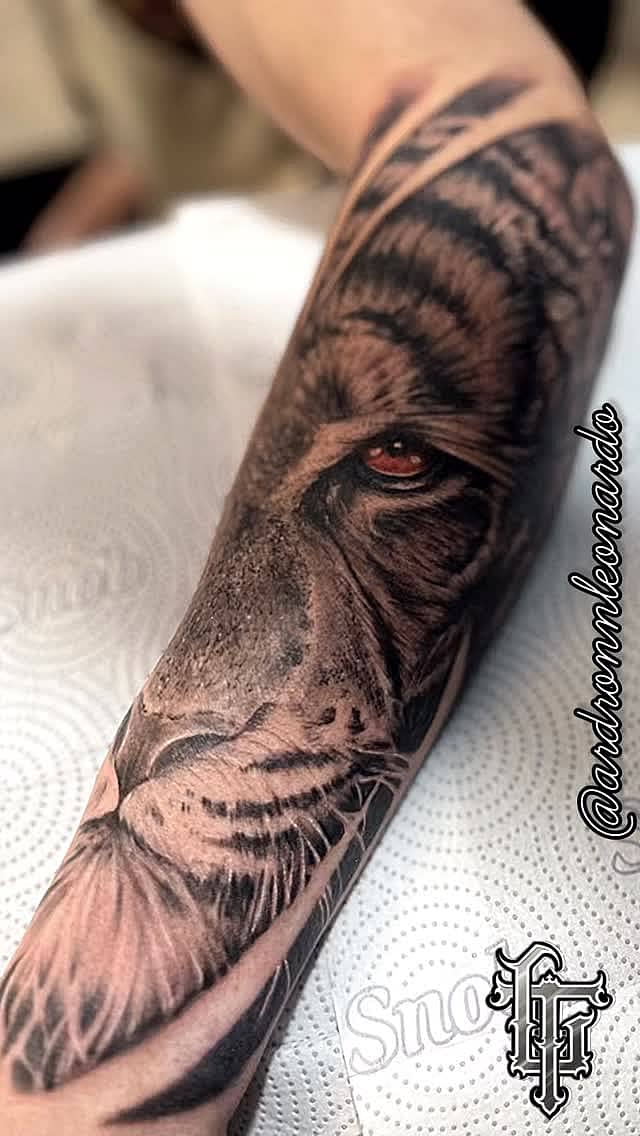 Lion's Gaze