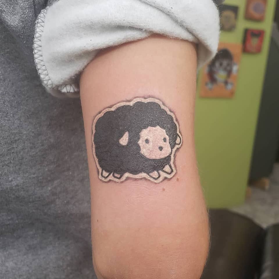 Little Black Sheep