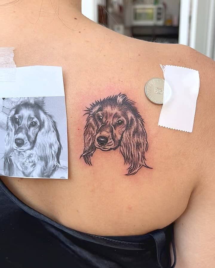 Long-Haired Dog Portrait