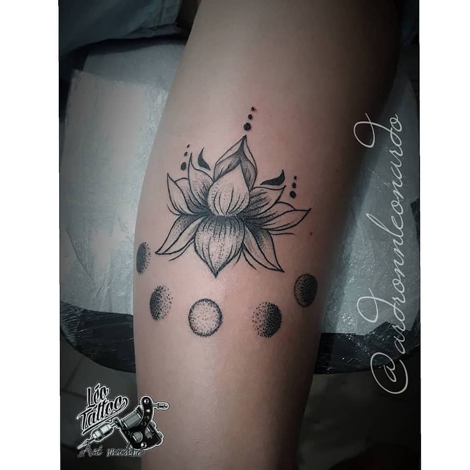 Lotus and Moon Phases