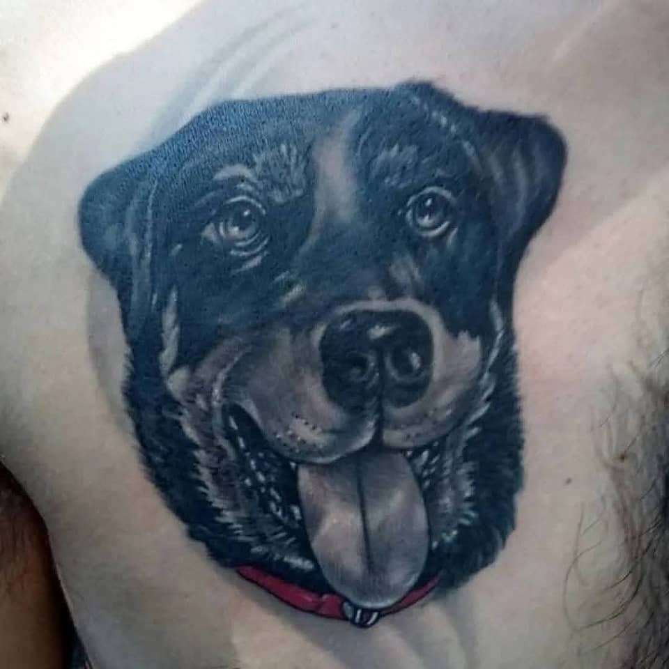 Loyal Companion — Dog Portrait