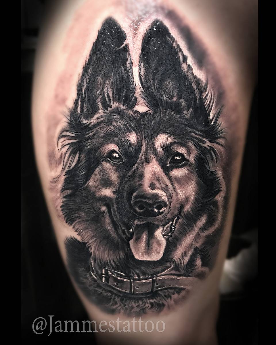 Loyal German Shepherd Portrait