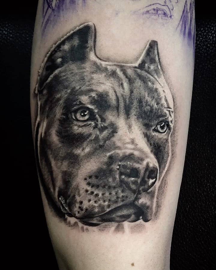 Loyal Guardian: Pit Bull Portrait