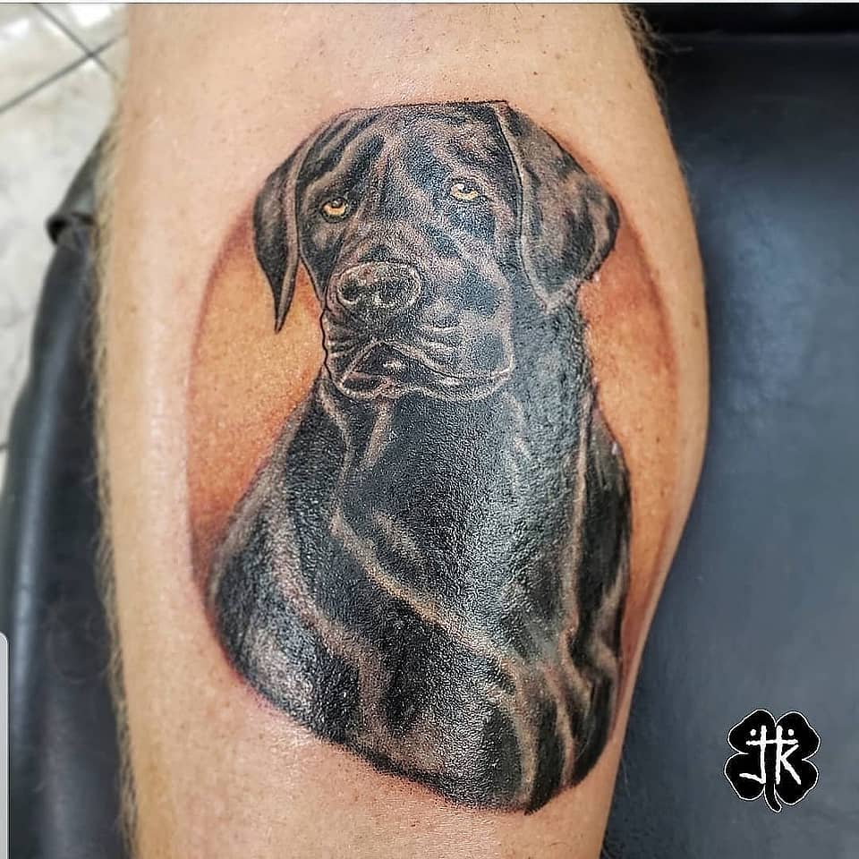 Loyal Lab Portrait