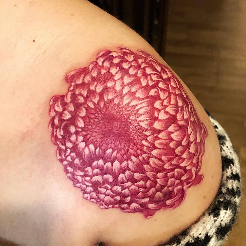 Magenta Chrysanthemum Mandala