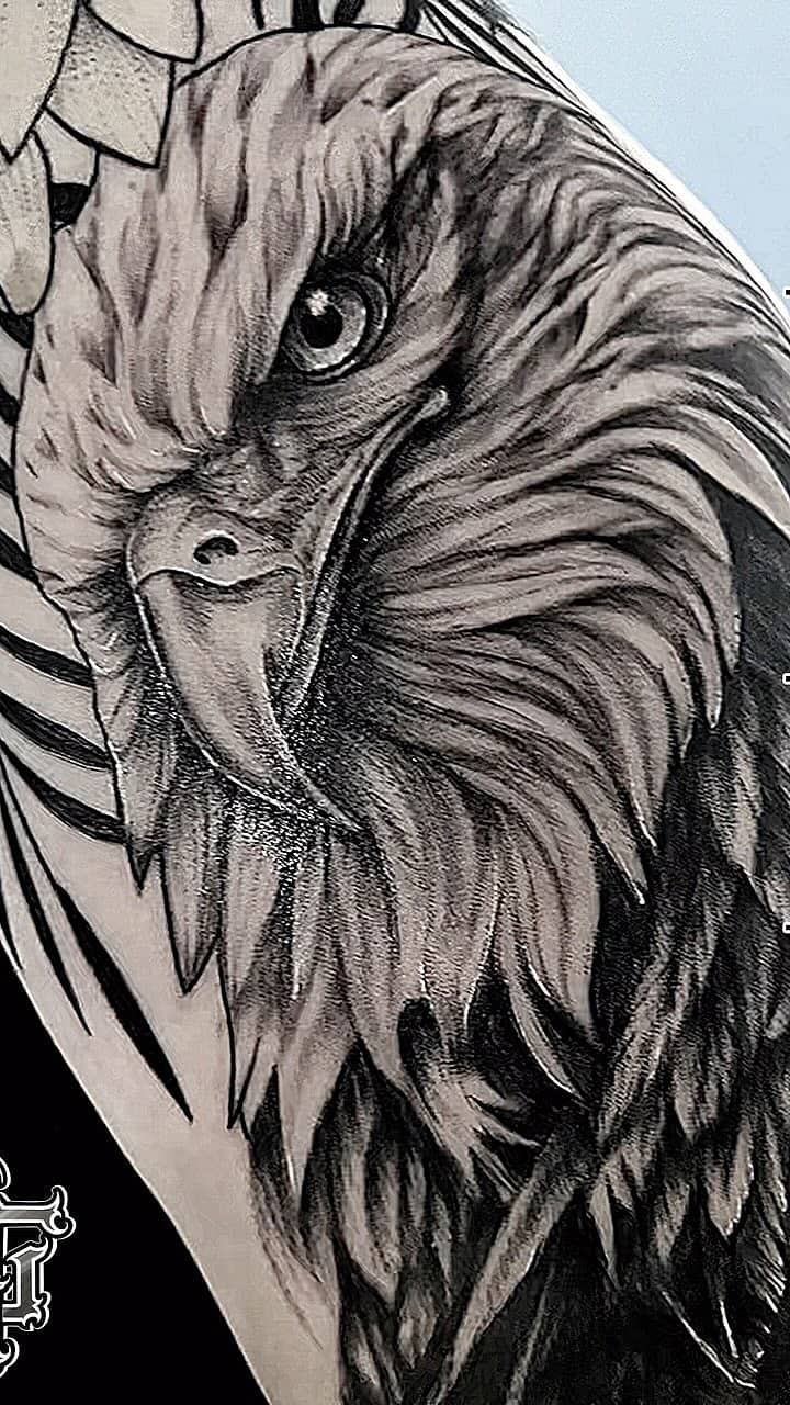 Majestic Eagle Portrait