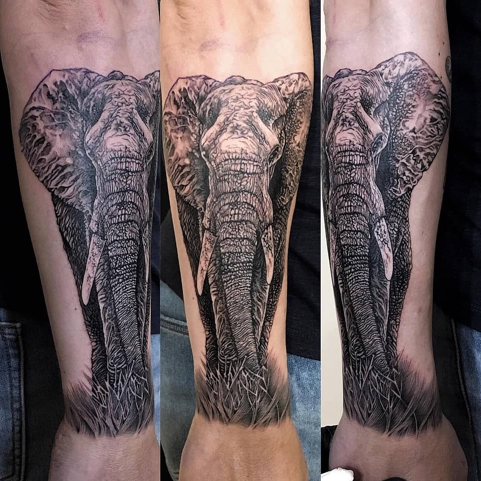 Majestic Elephant Portrait