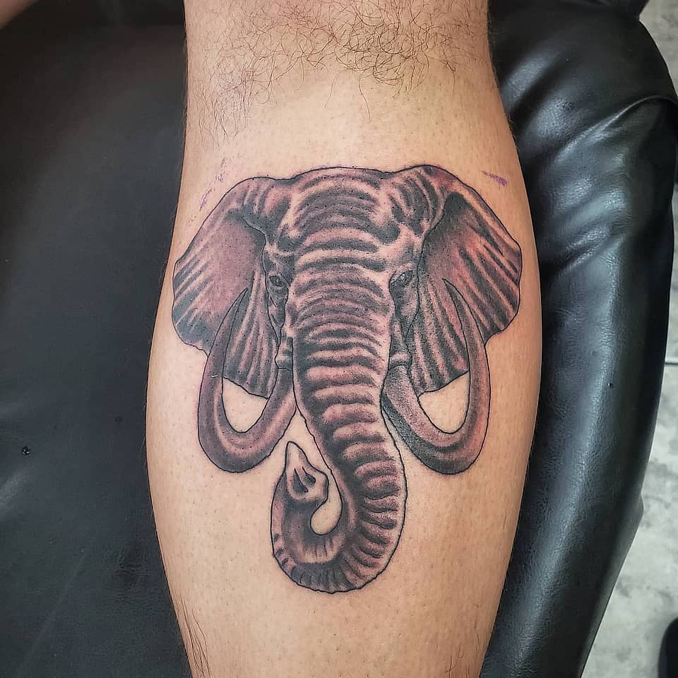 Majestic Elephant Portrait
