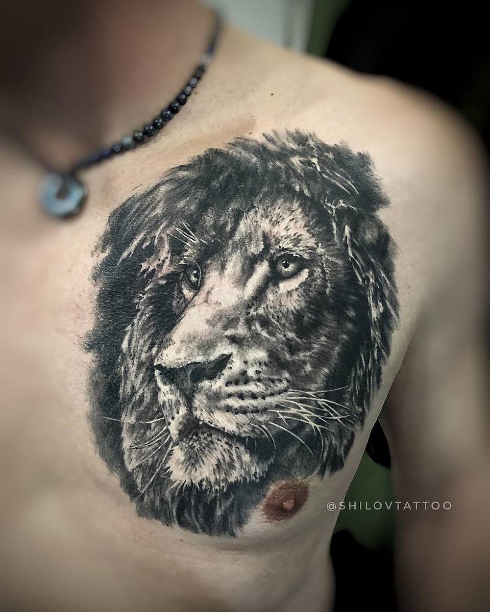 Majestic Lion Portrait