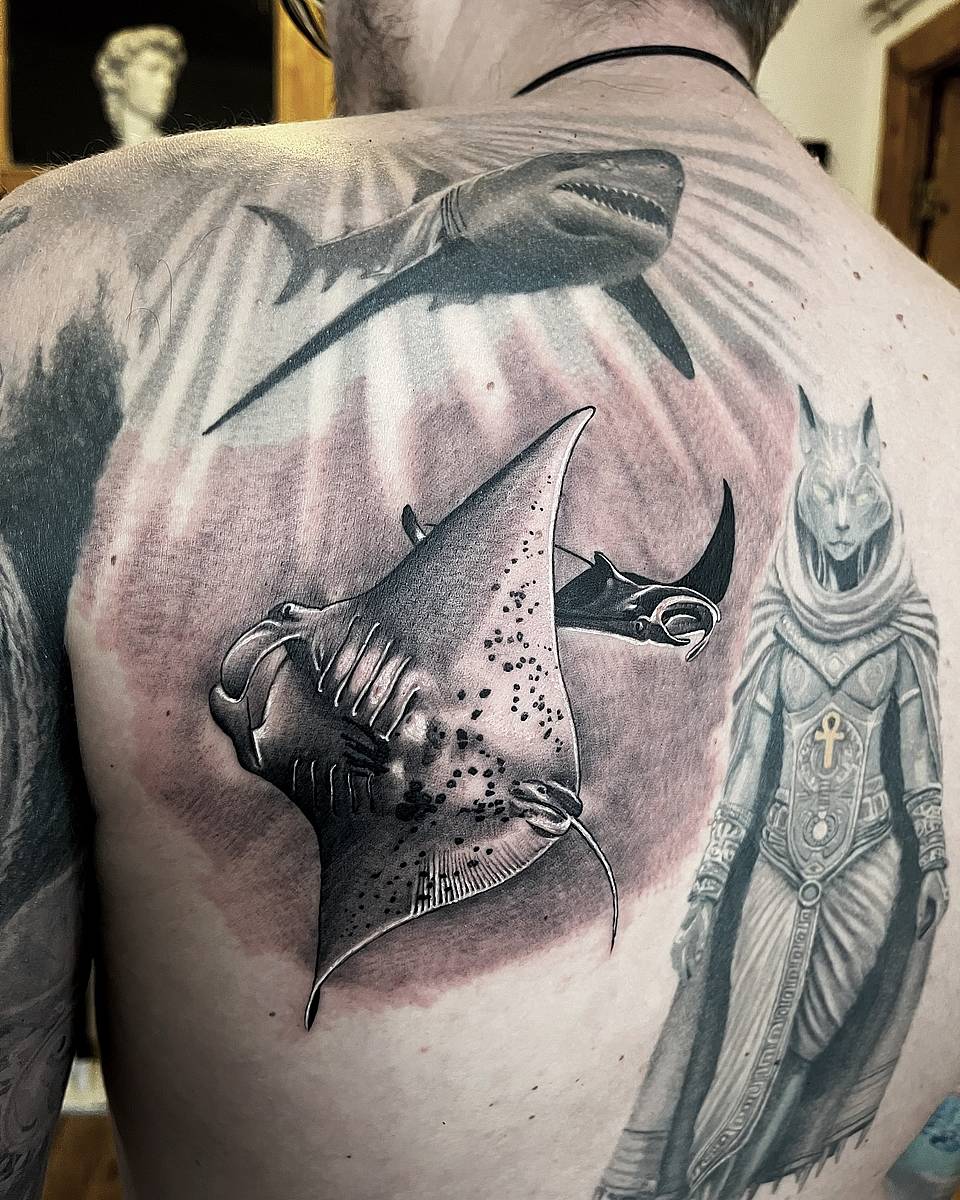 Manta & Shark Realism
