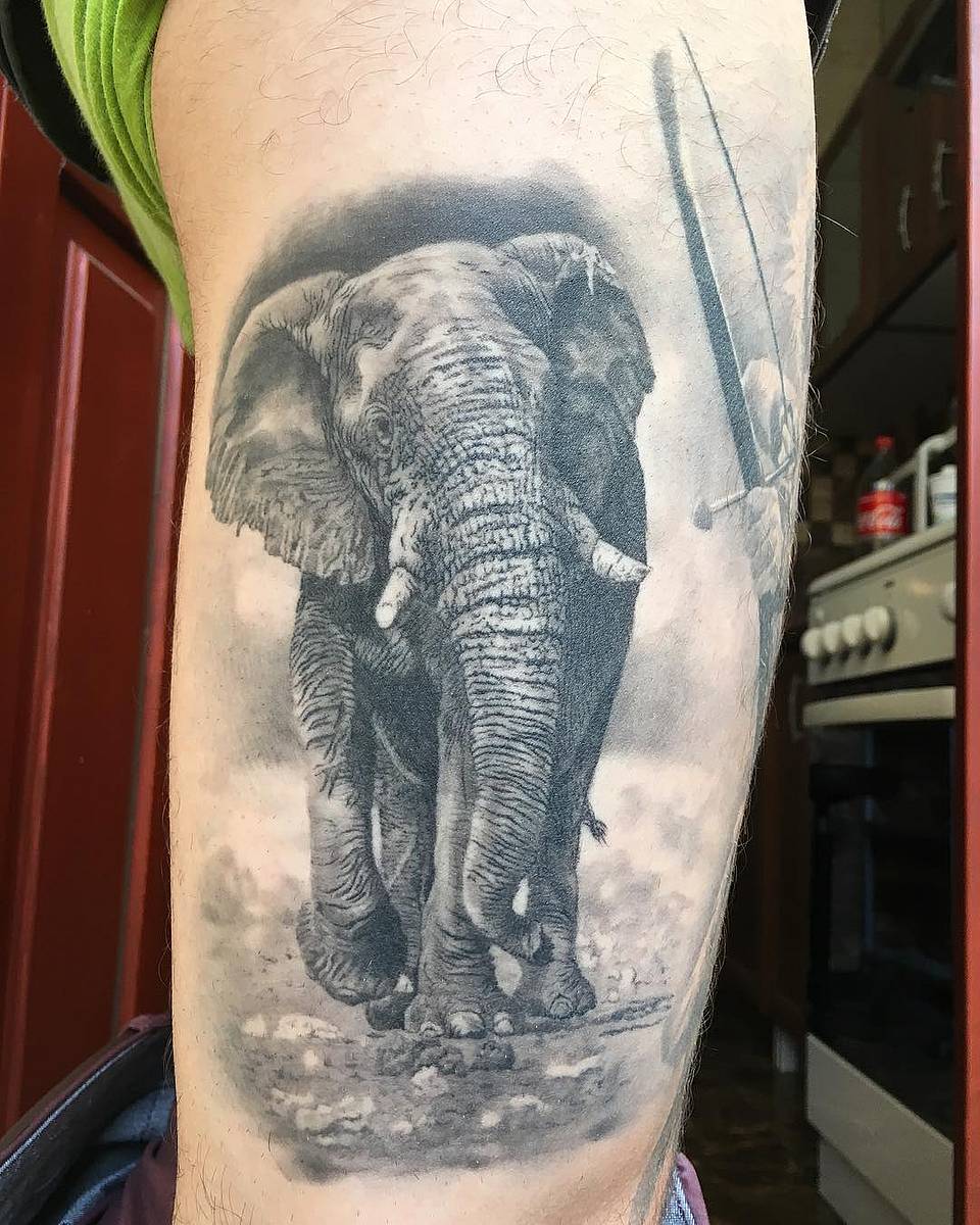 Marching Elephant