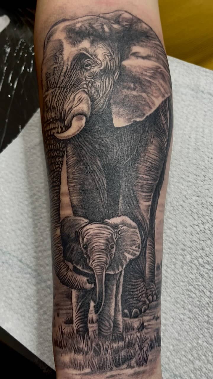 Matriarch and Calf Elephant Portrait