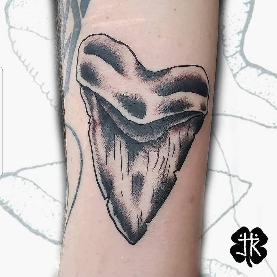 Megalodon Tooth Relic