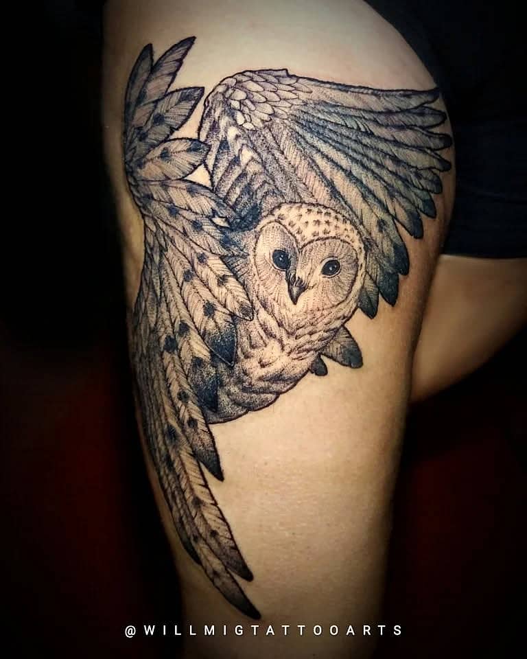 Midnight Owl in Flight