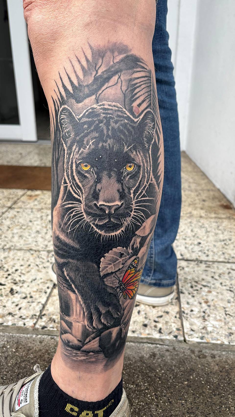 Midnight Panther & Monarch