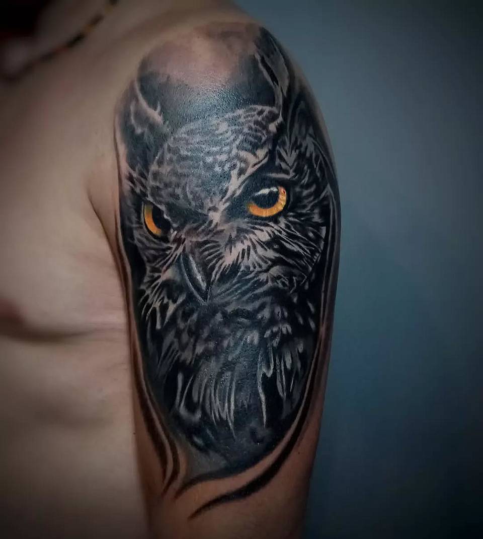 Midnight Sentinel Owl