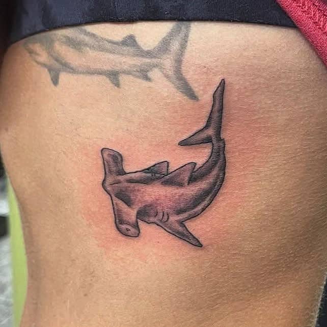 Mini Hammerhead Shark
