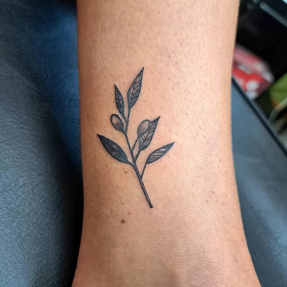 Minimal Olive Sprig