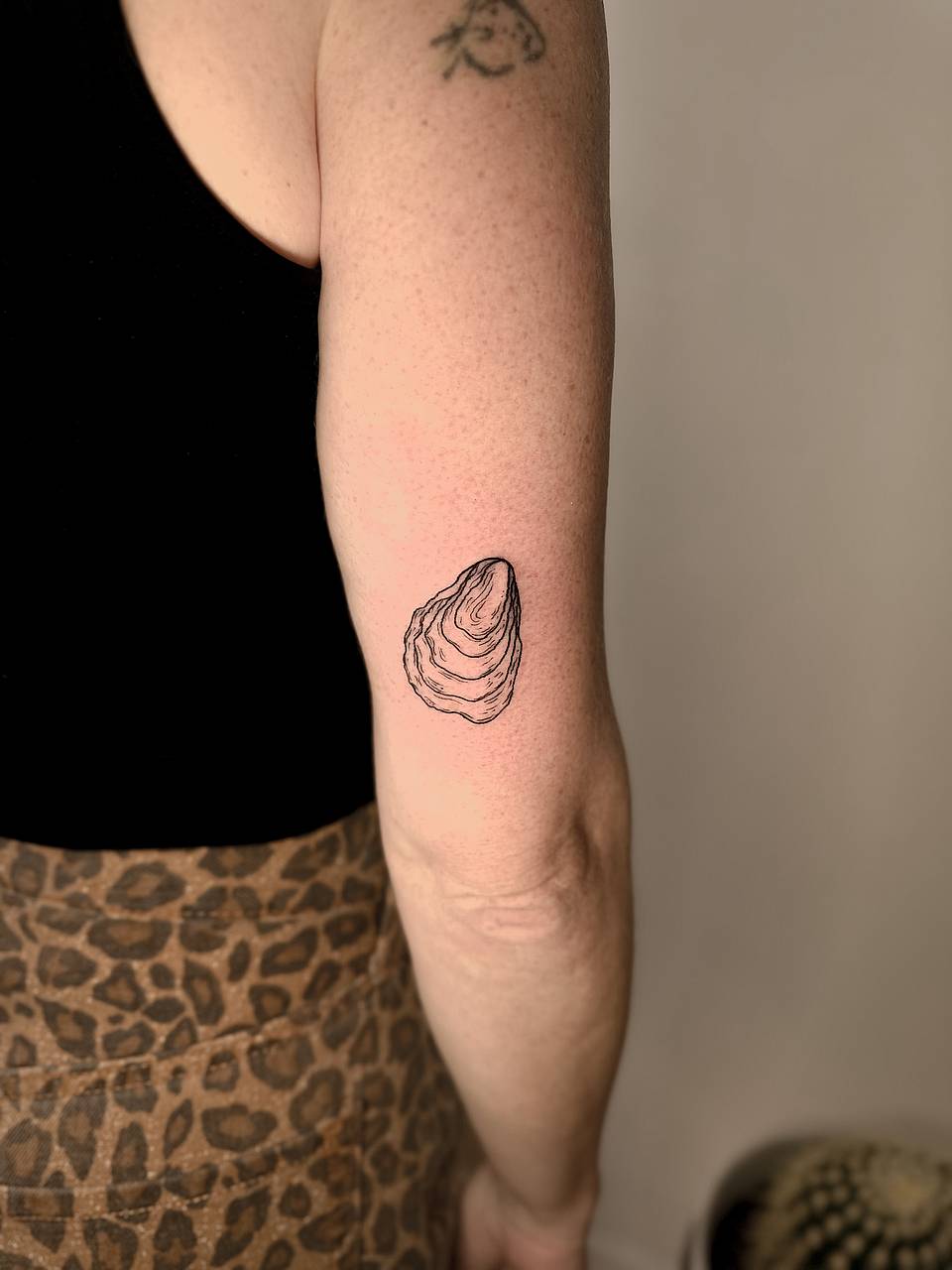 Minimal Oyster Shell