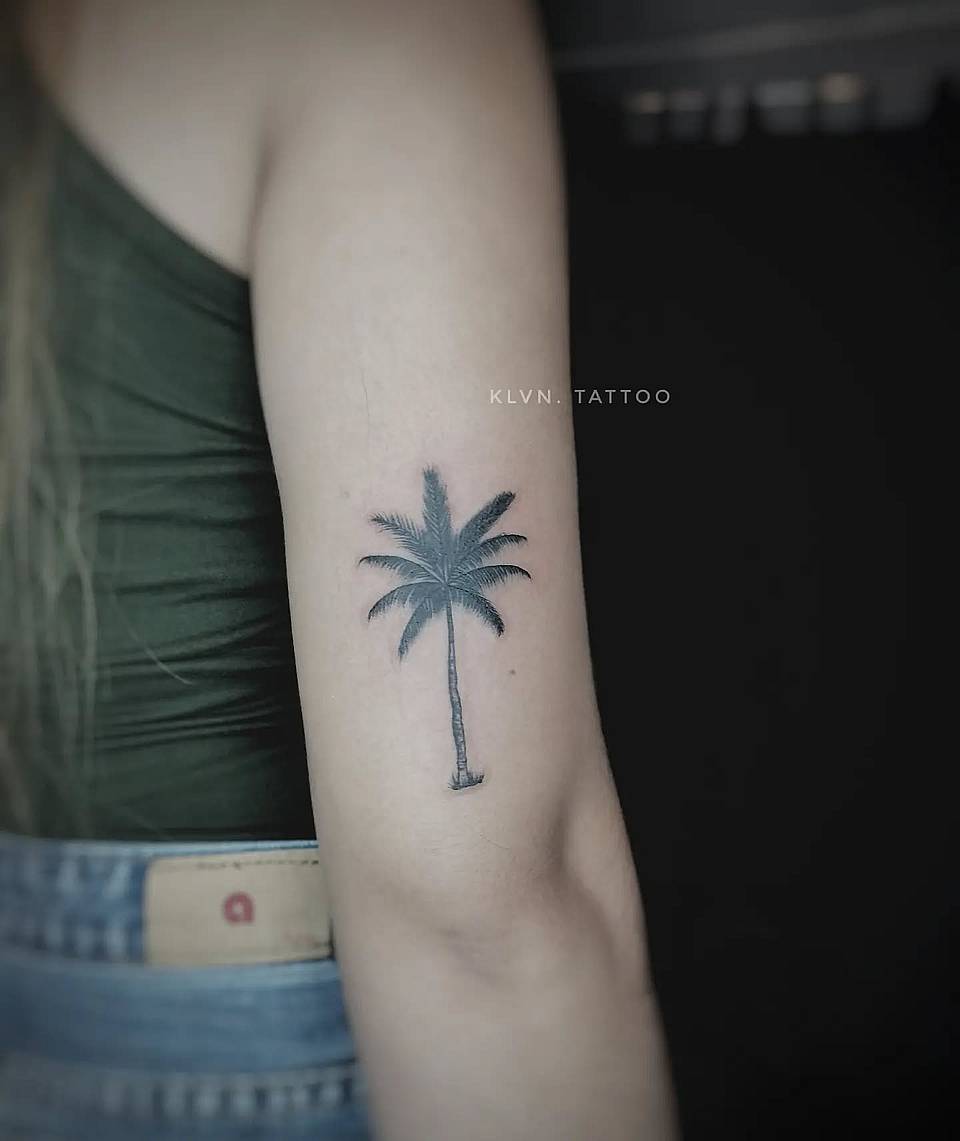 Minimal Palm Tree