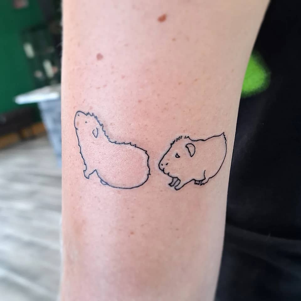 Minimalist Guinea Pig Pair