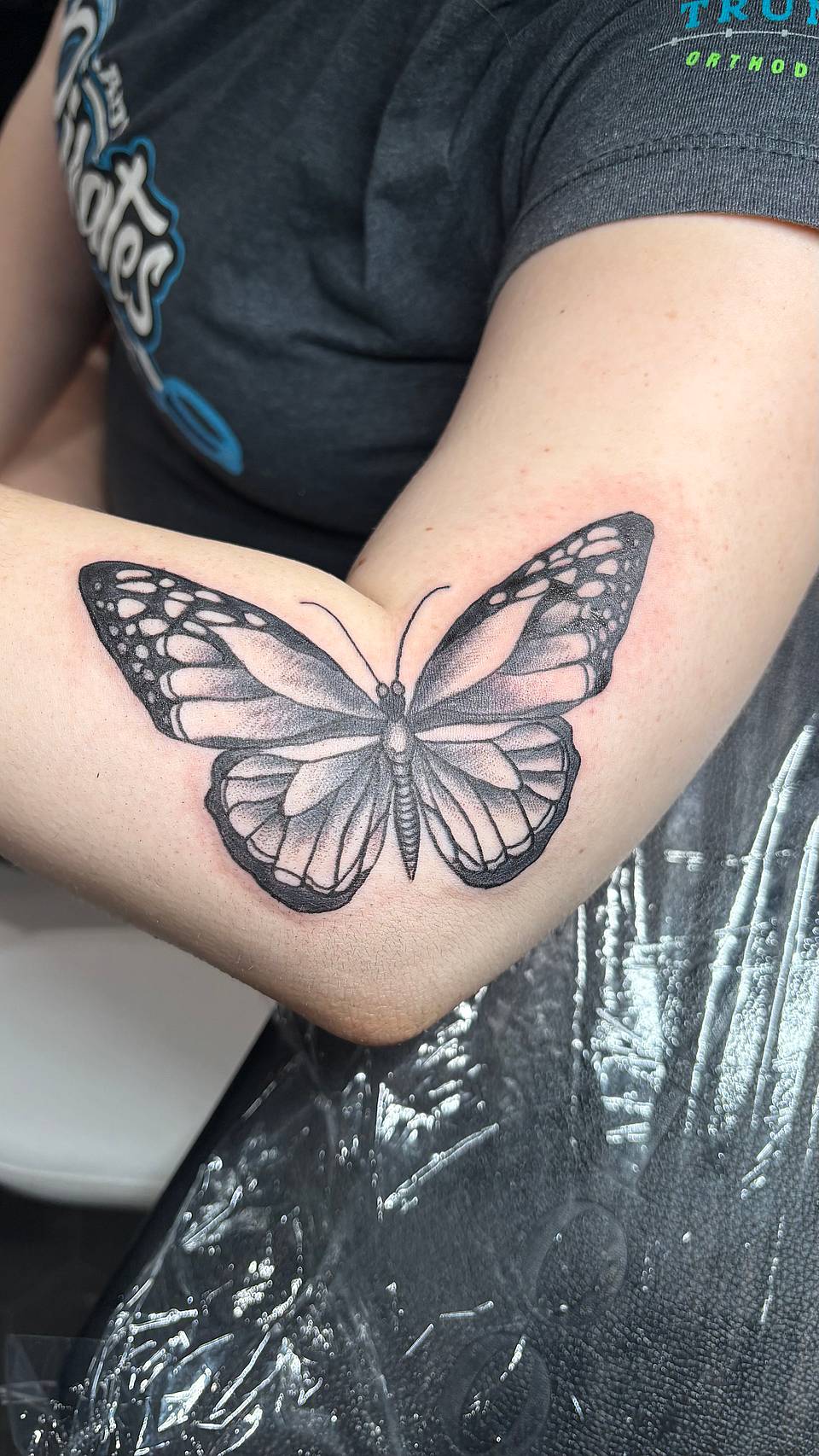 Monarch Butterfly