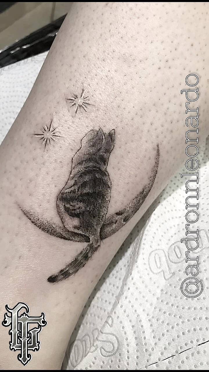 Moonlit Cat on Crescent