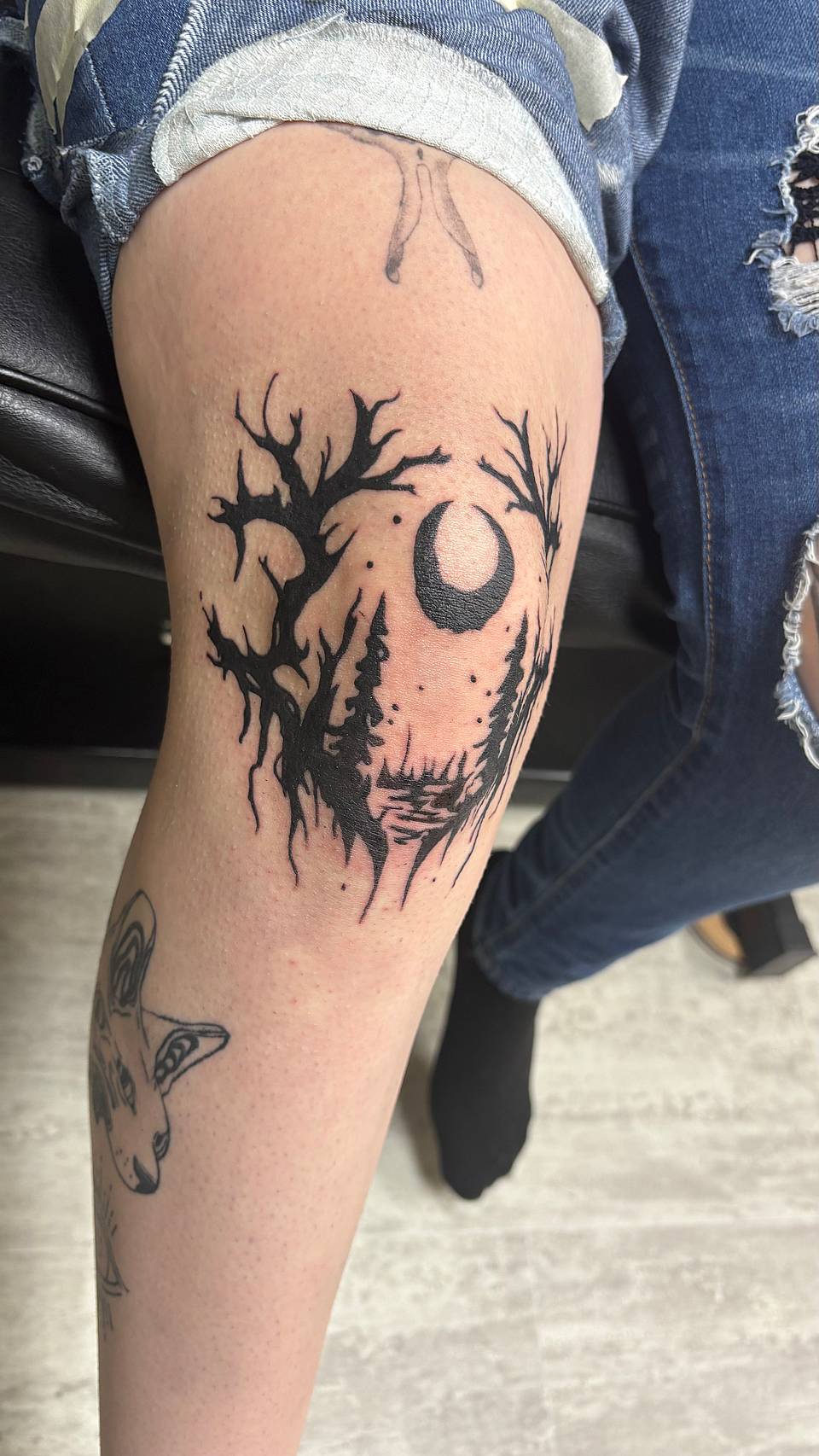 Moonlit Forest Silhouette