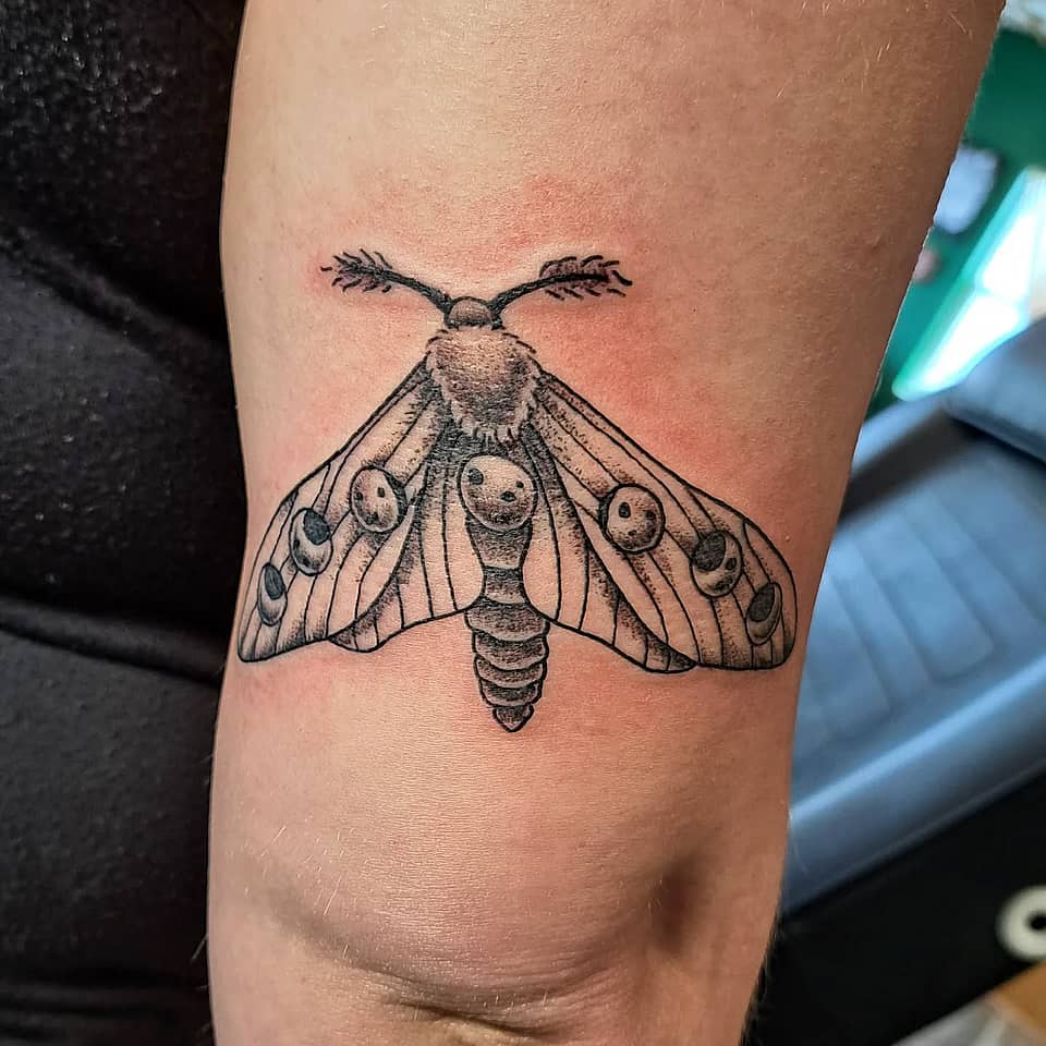 Moonlit Moth Linework
