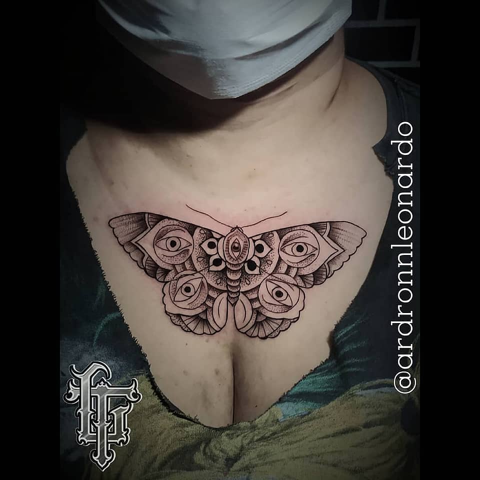 Moth of Many Eyes