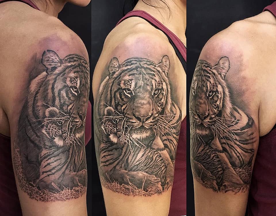 Mother Tiger Portrait