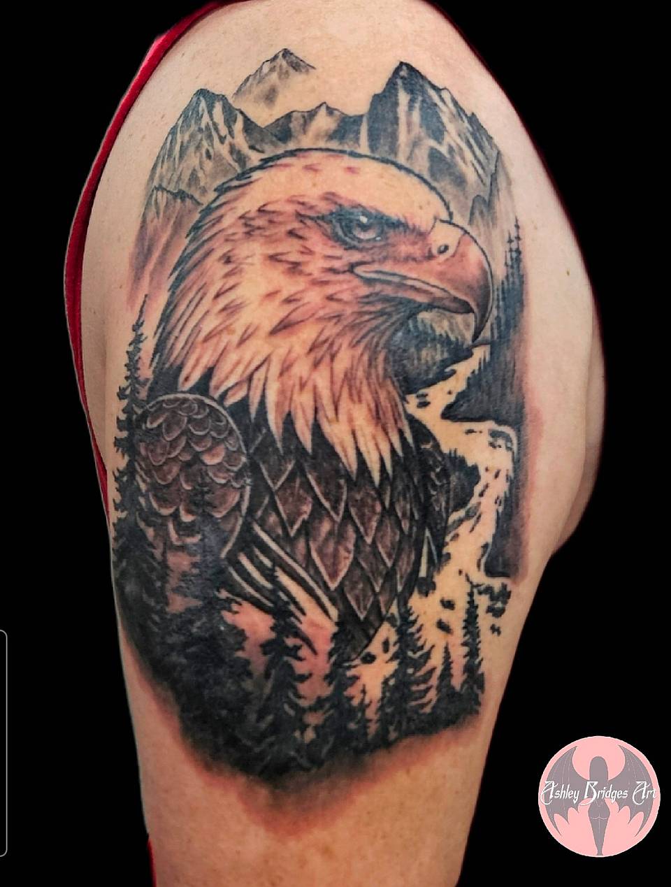 Mountain Eagle Portrait