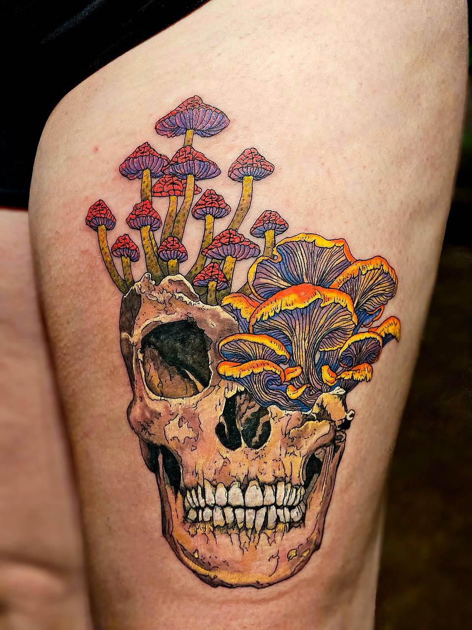 Mushroom Skull Bloom
